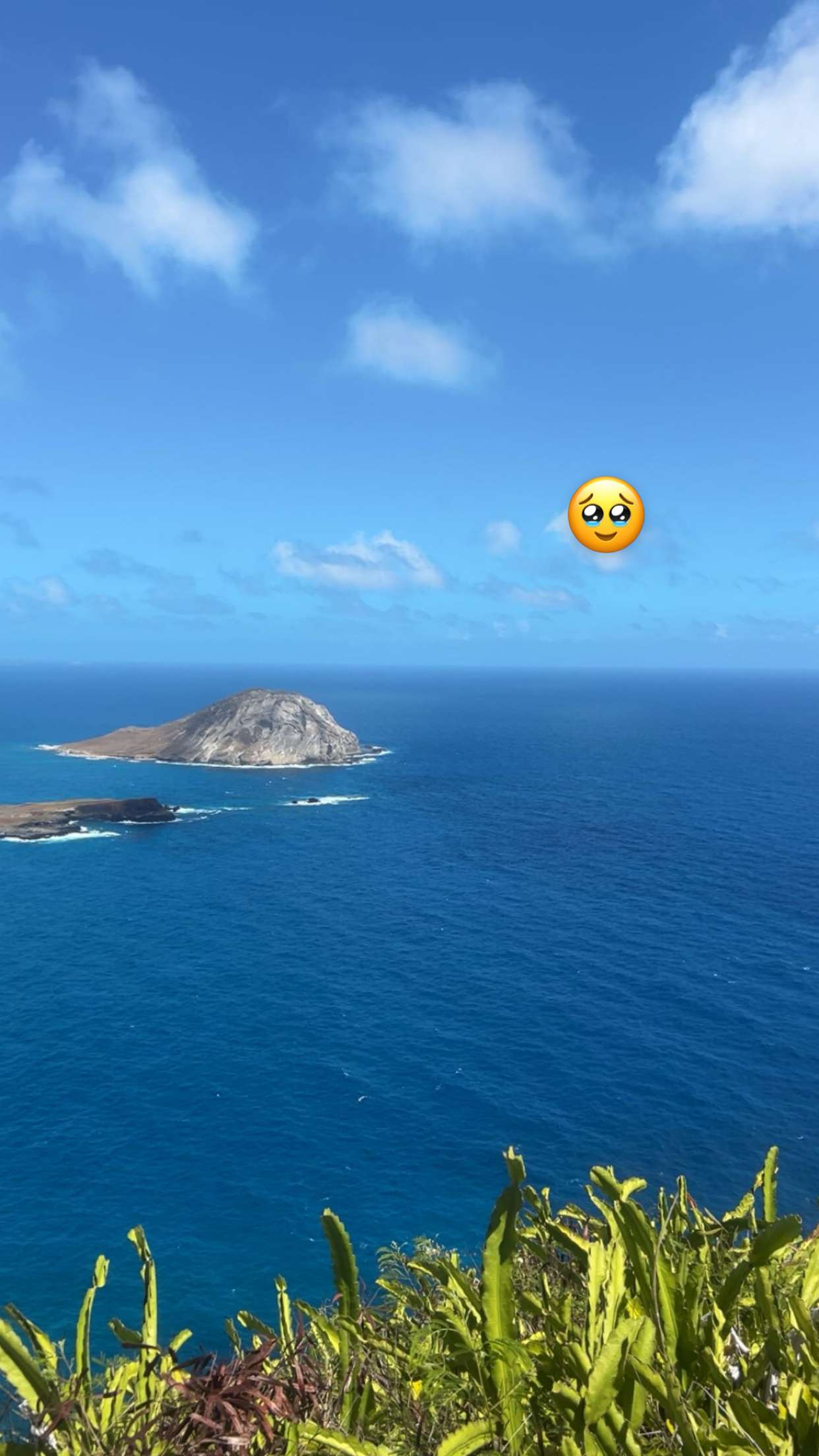 soph4ocean snapchat image archive image