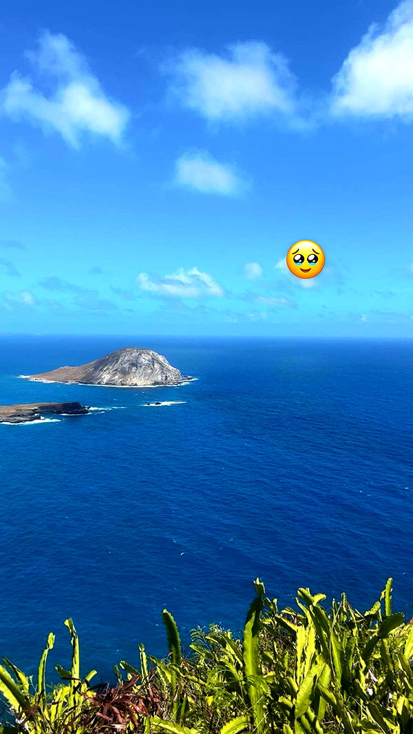 soph4ocean image ~ Altpins