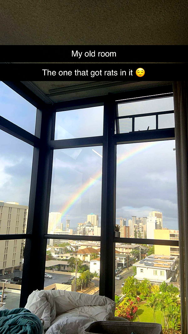 soph4ocean image ~ Altpins