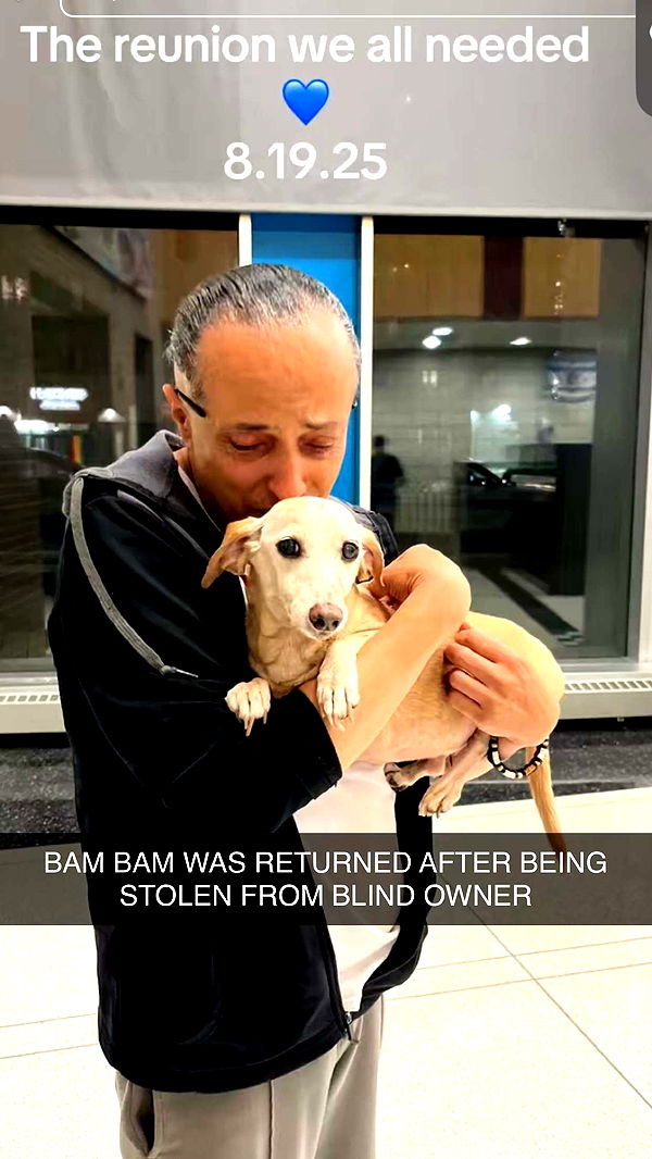 soph4ocean image ~ Altpins