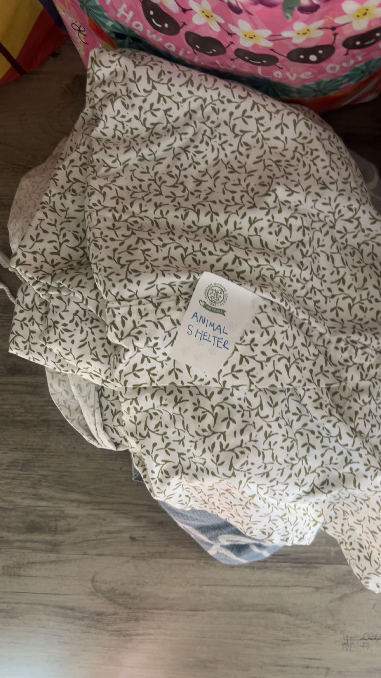 soph4ocean snapchat image archive image