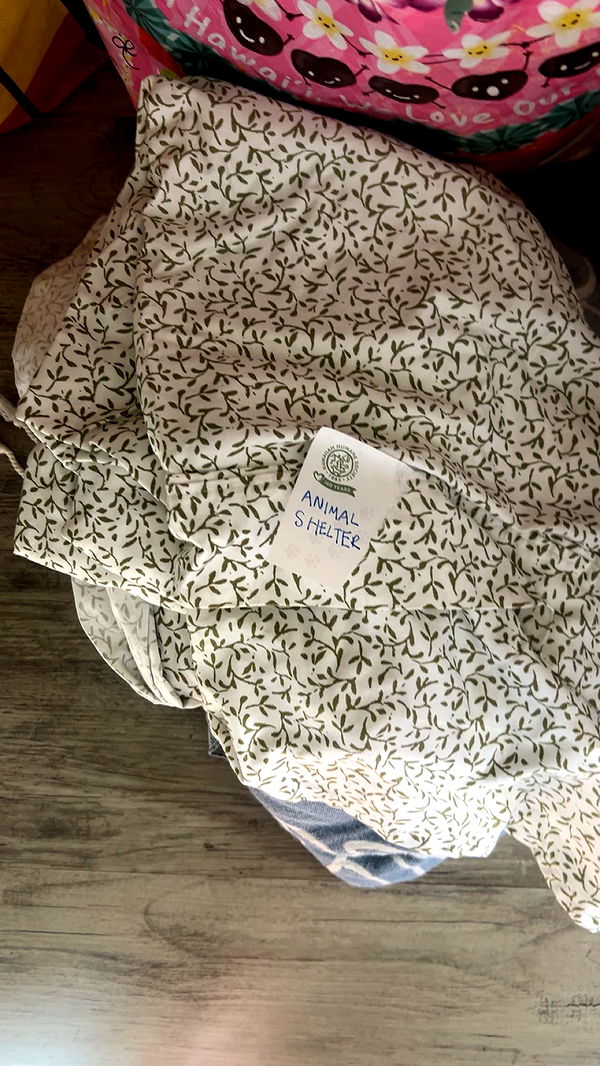 soph4ocean image ~ Altpins