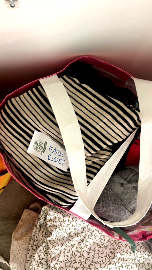 soph4ocean image ~ Altpins