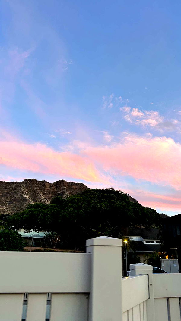 soph4ocean image ~ Altpins