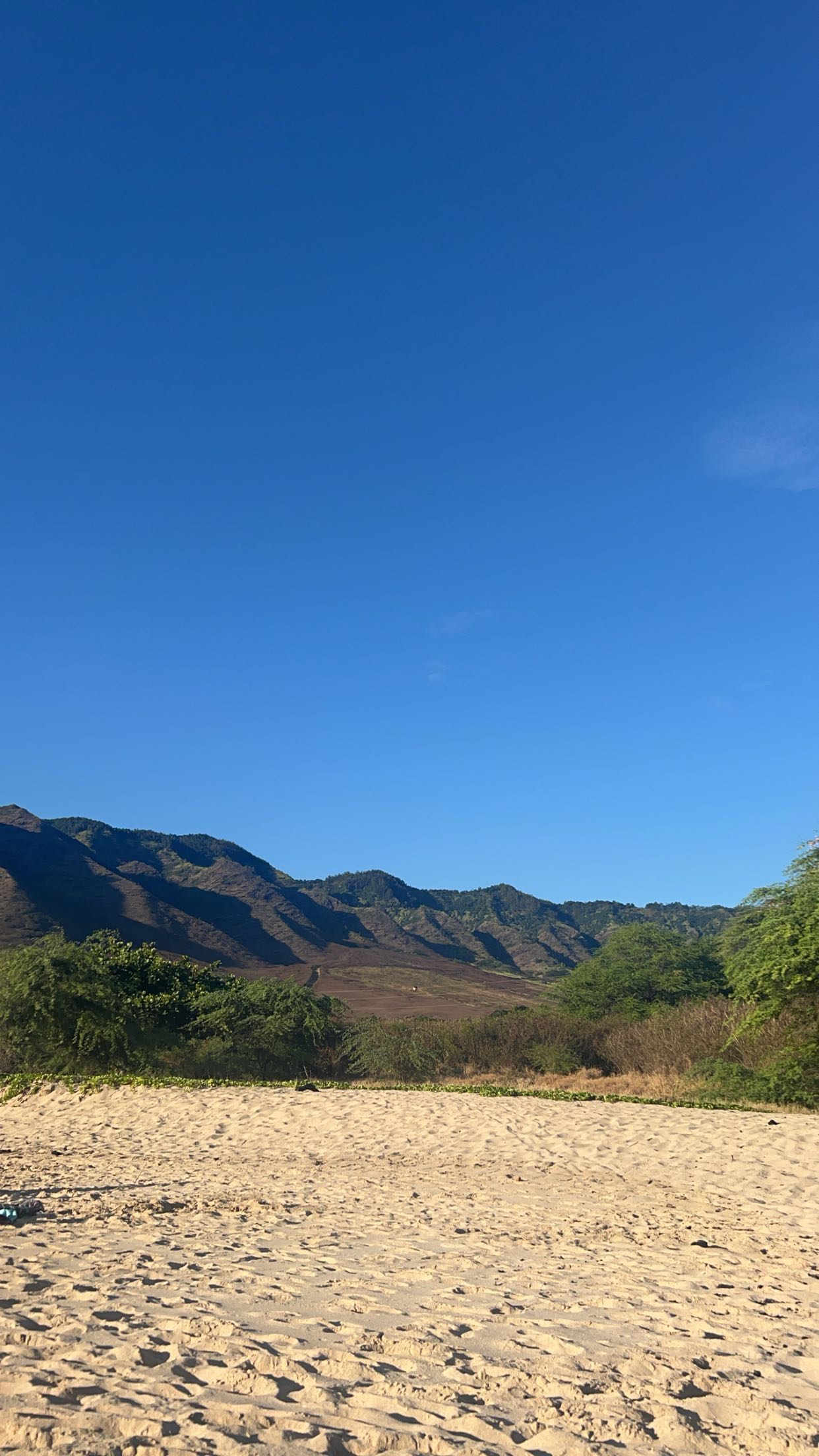 soph4ocean snapchat image archive image