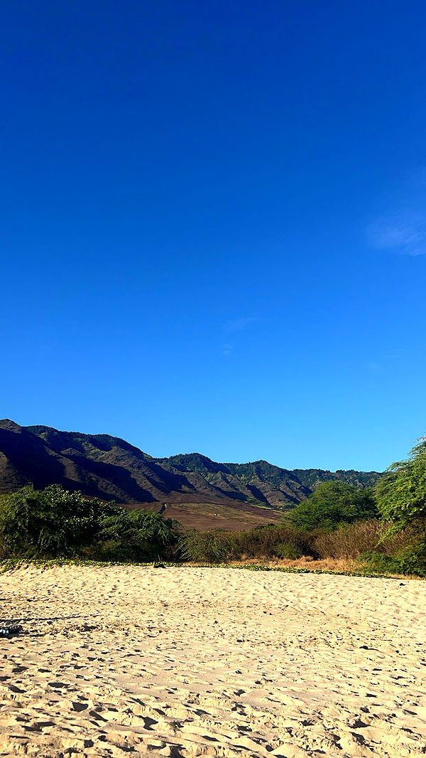 soph4ocean image ~ Altpins