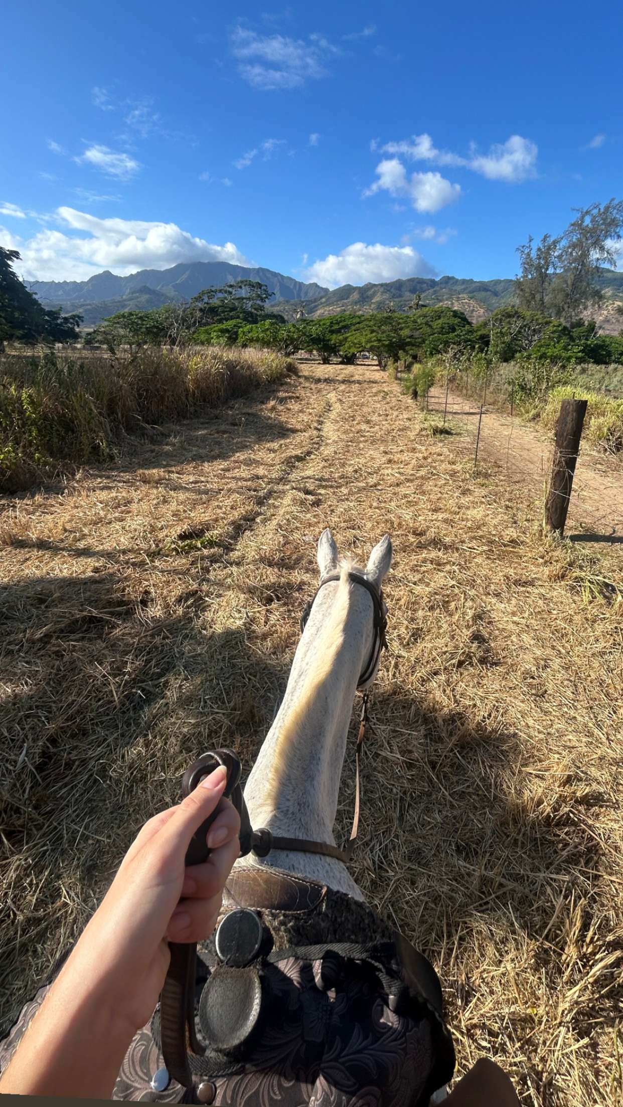 soph4ocean snapchat image archive image