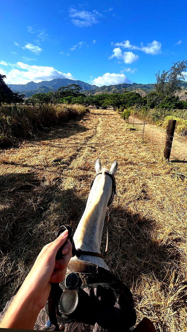 soph4ocean image ~ Altpins