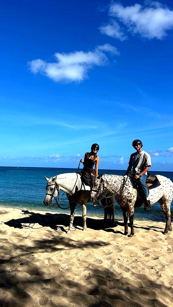 soph4ocean image ~ Altpins