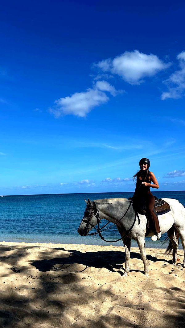 soph4ocean image ~ Altpins