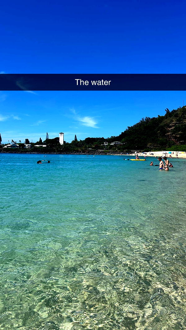 soph4ocean image ~ Altpins