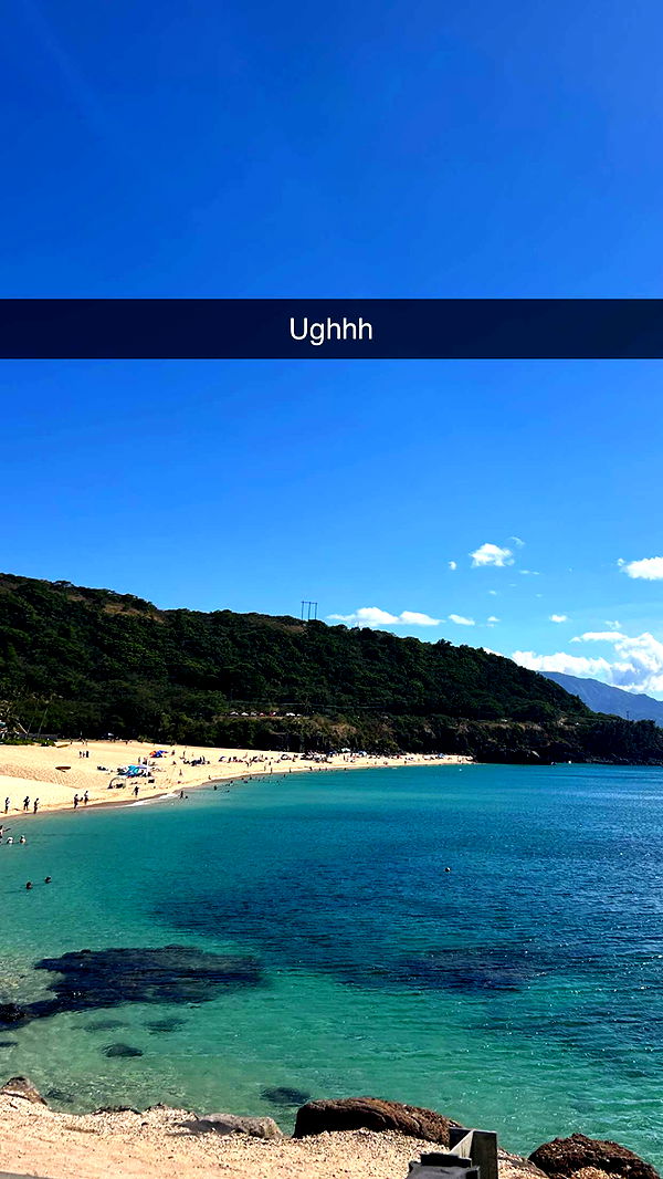 soph4ocean image ~ Altpins