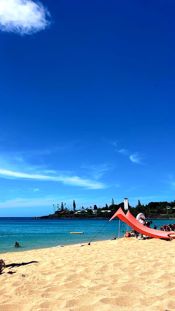 soph4ocean image ~ Altpins