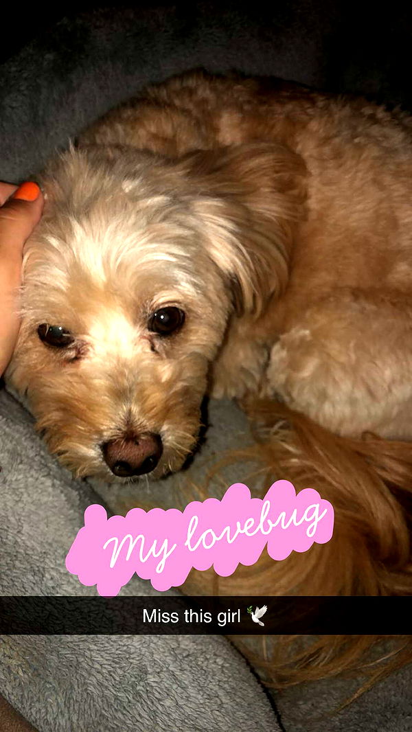 soph4ocean image ~ Altpins