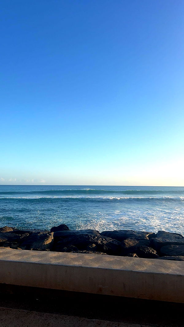 soph4ocean image ~ Altpins