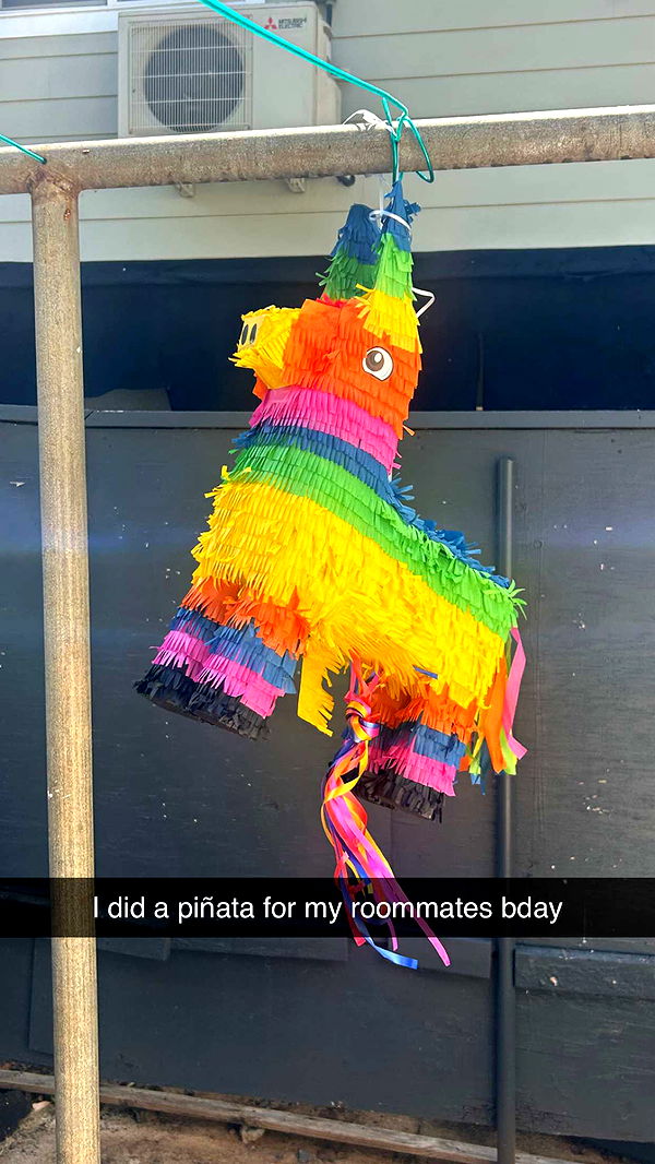 soph4ocean image ~ Altpins