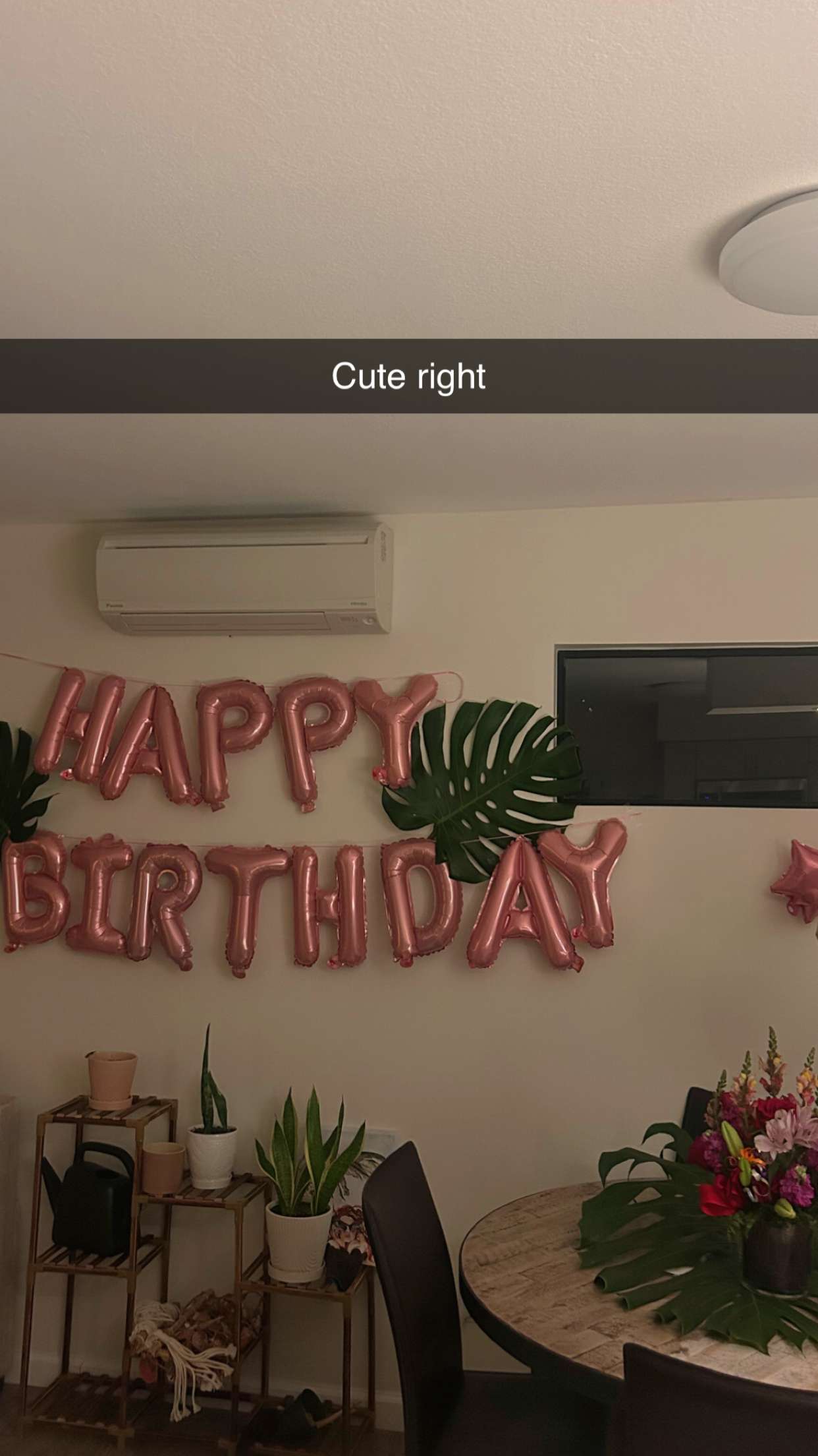 soph4ocean snapchat image archive image