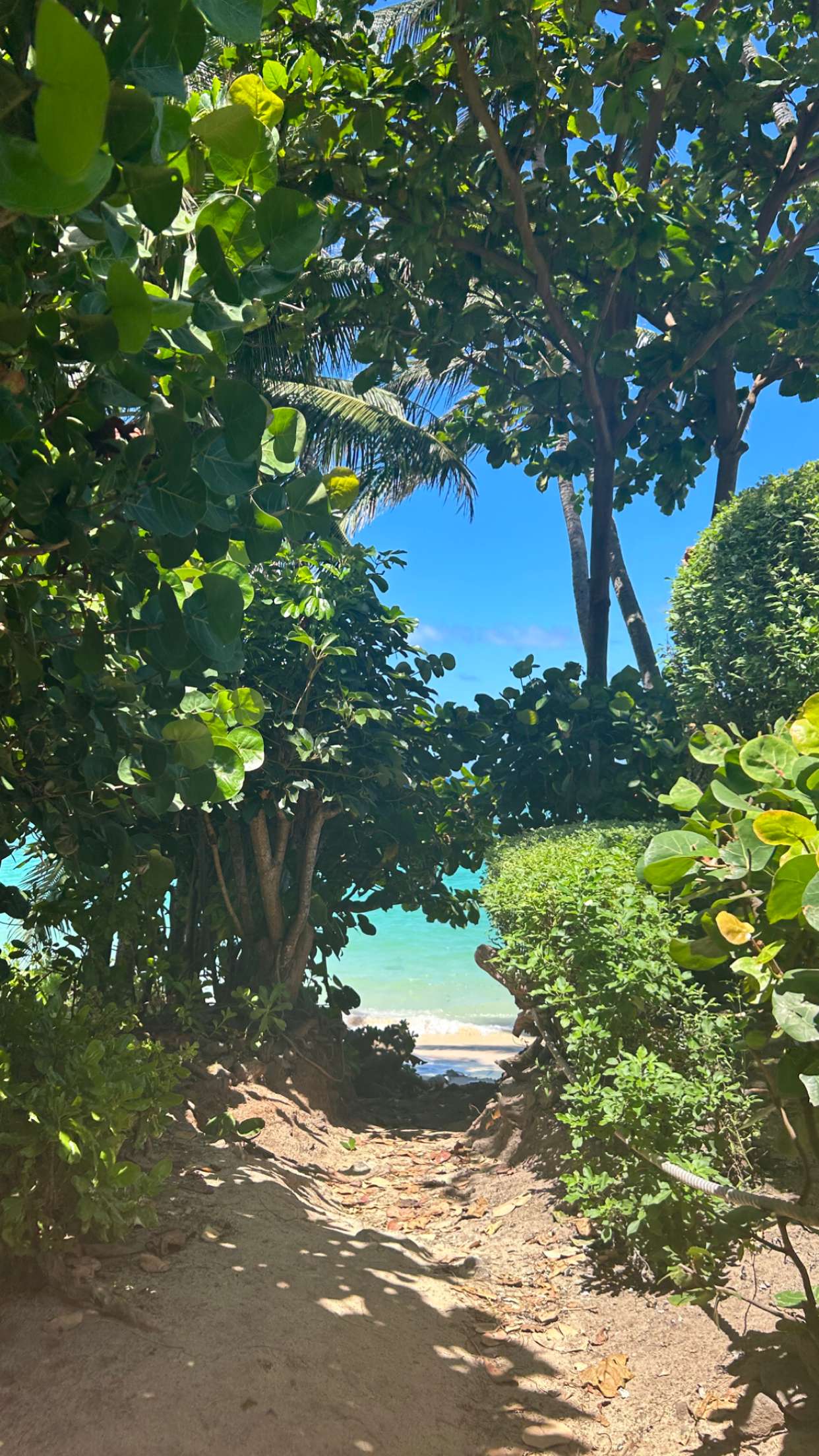 soph4ocean snapchat image archive image