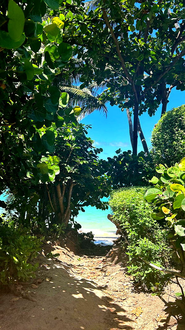 soph4ocean image ~ Altpins