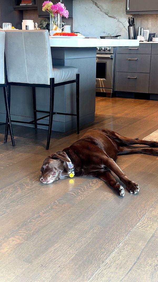 soph4ocean image ~ Altpins