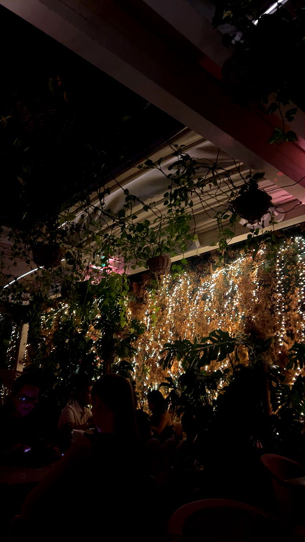 soph4ocean image ~ Altpins