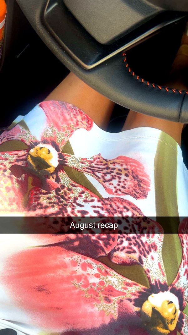 soph4ocean image ~ Altpins