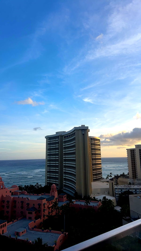 soph4ocean image ~ Altpins