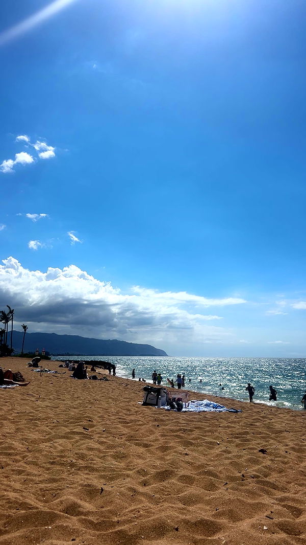 soph4ocean image ~ Altpins