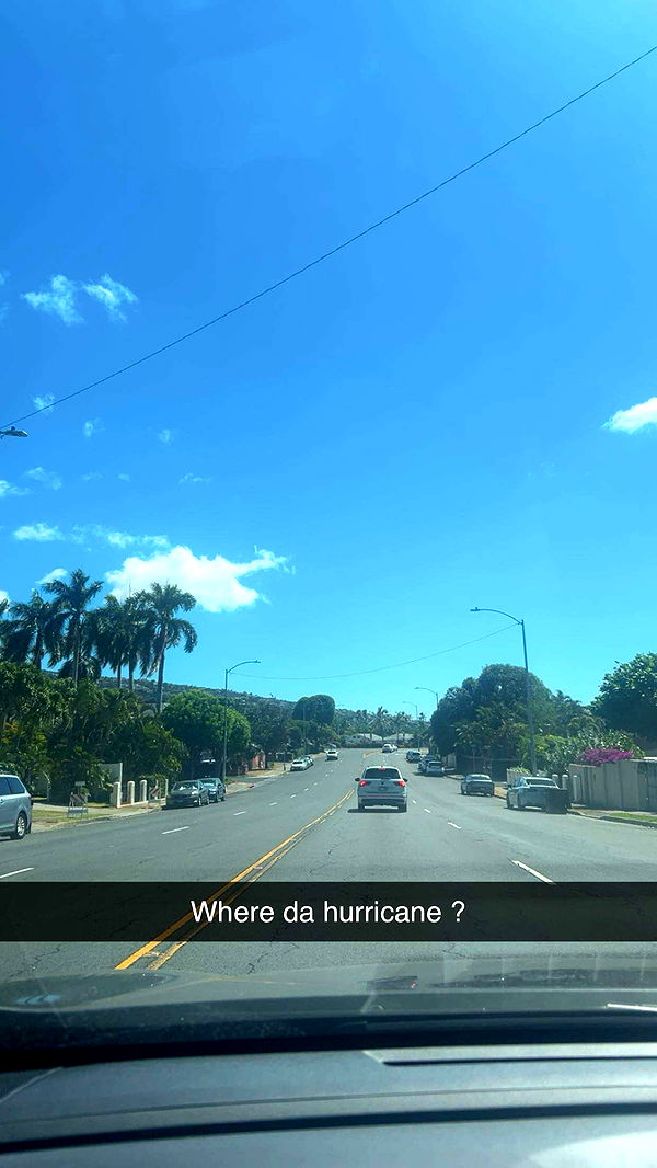 soph4ocean image ~ Altpins