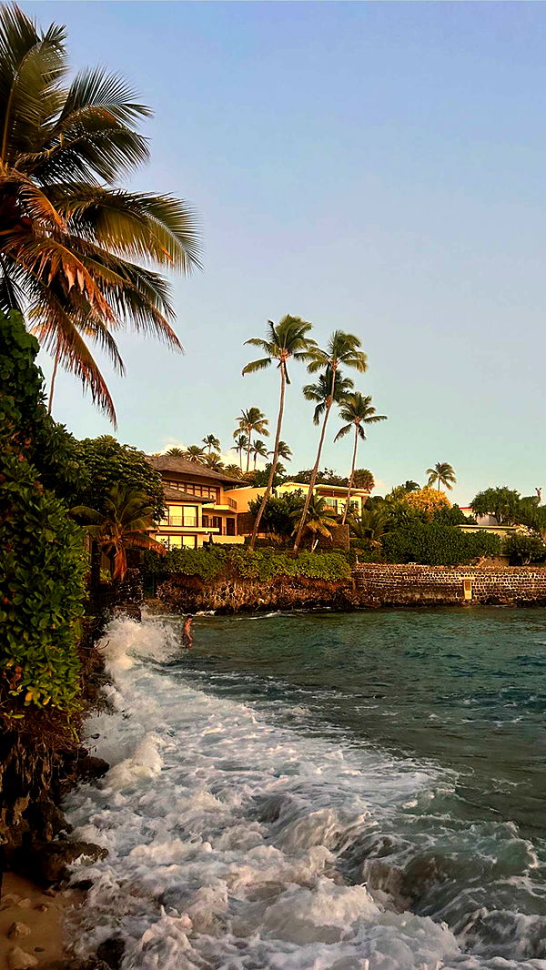 soph4ocean image ~ Altpins