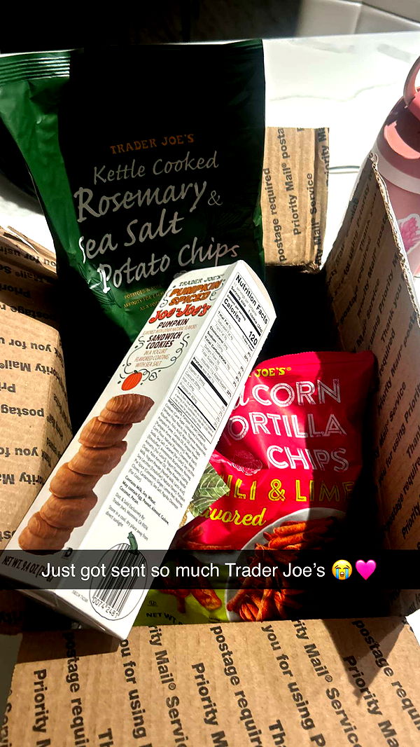 soph4ocean image ~ Altpins