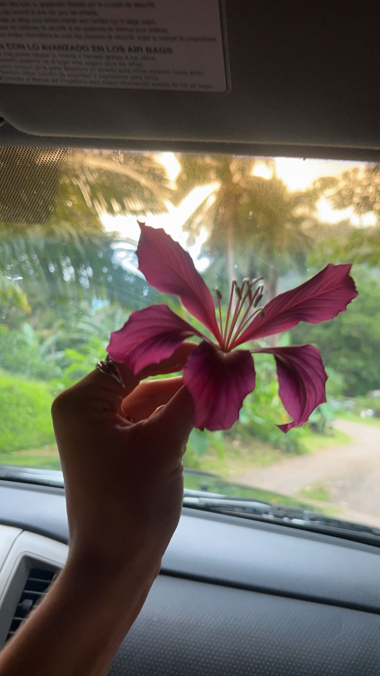 soph4ocean snapchat image archive image