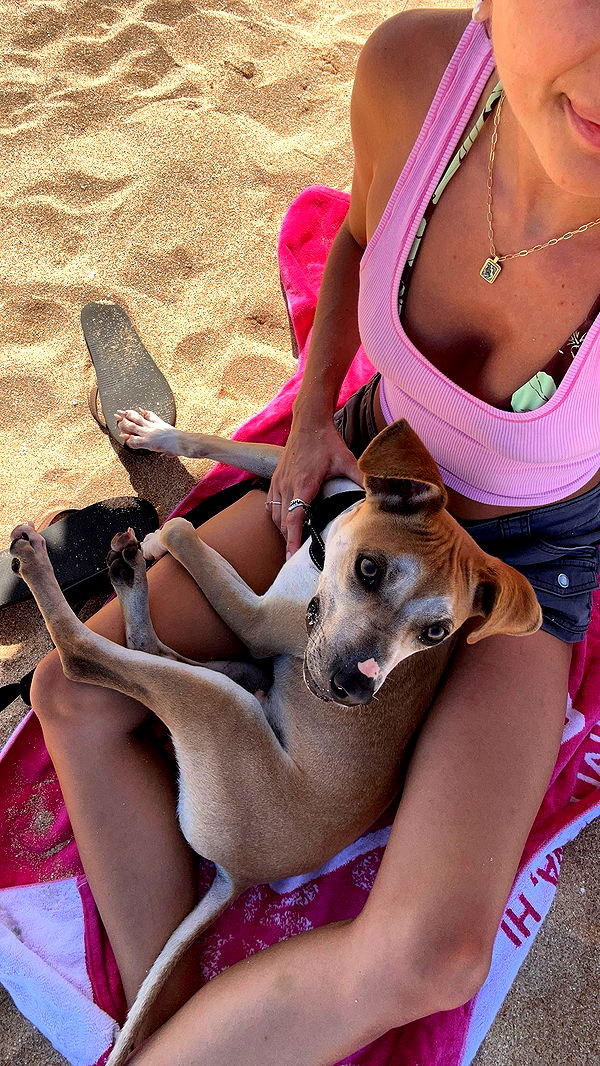 soph4ocean image ~ Altpins