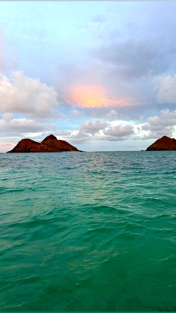 soph4ocean image ~ Altpins