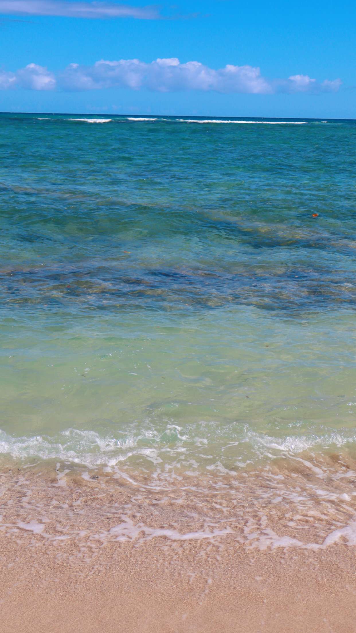 soph4ocean snapchat image archive image