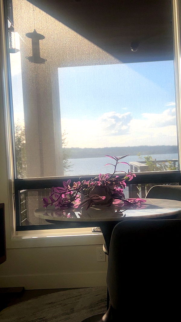 soph4ocean image ~ Altpins