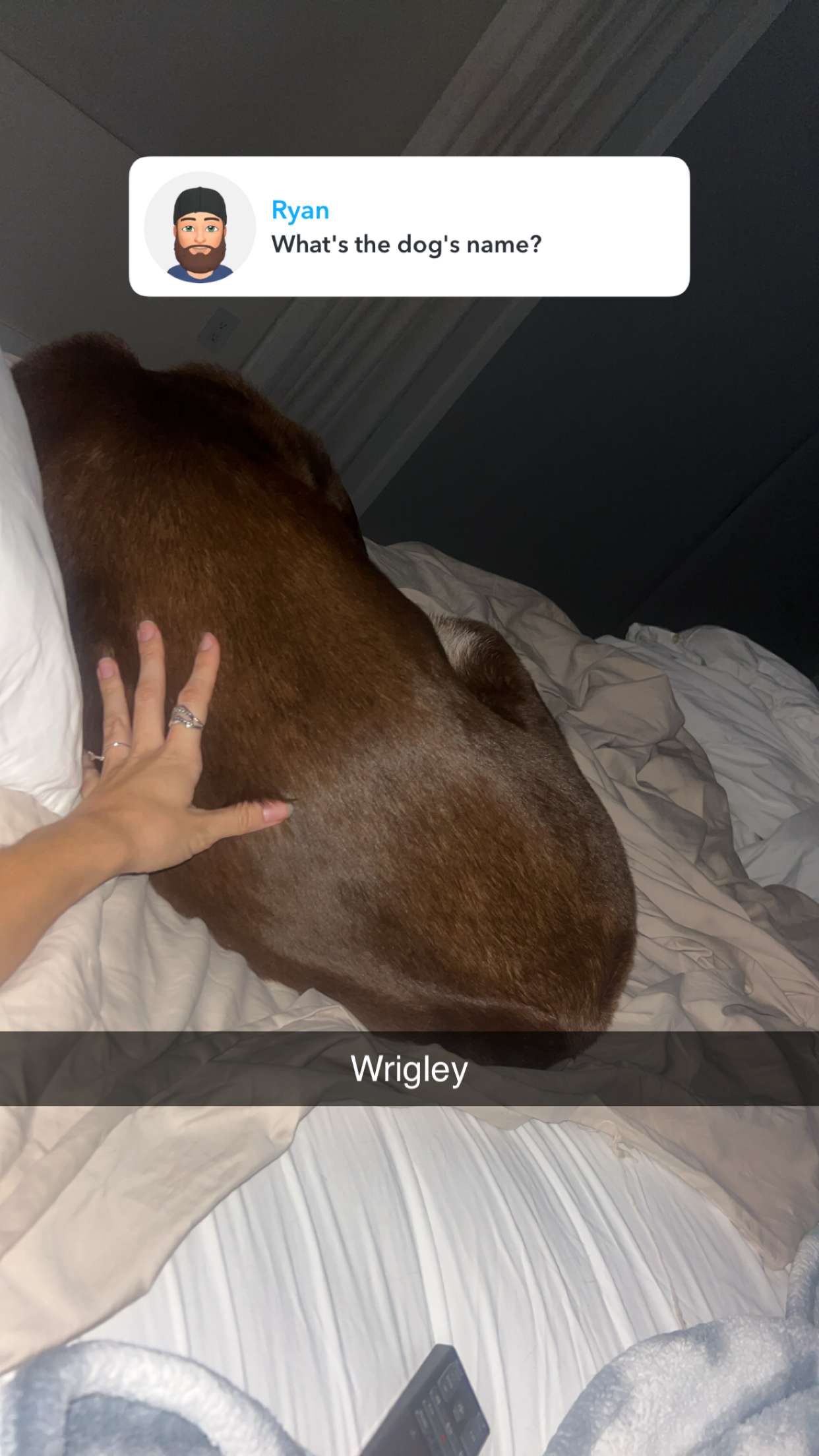 soph4ocean snapchat image archive image