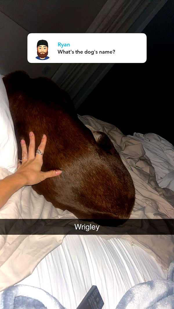 soph4ocean image ~ Altpins