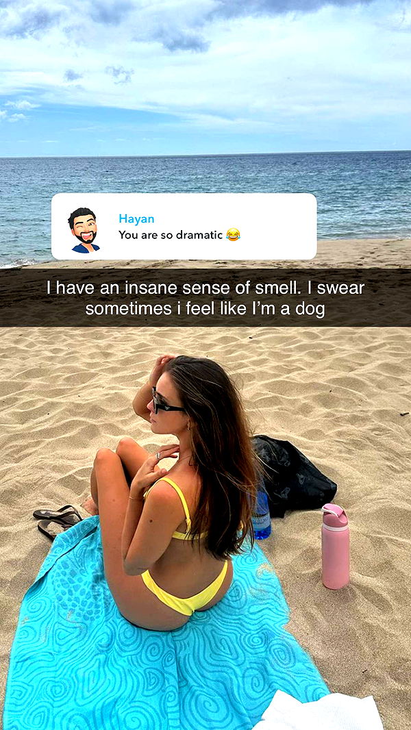 soph4ocean image ~ Altpins