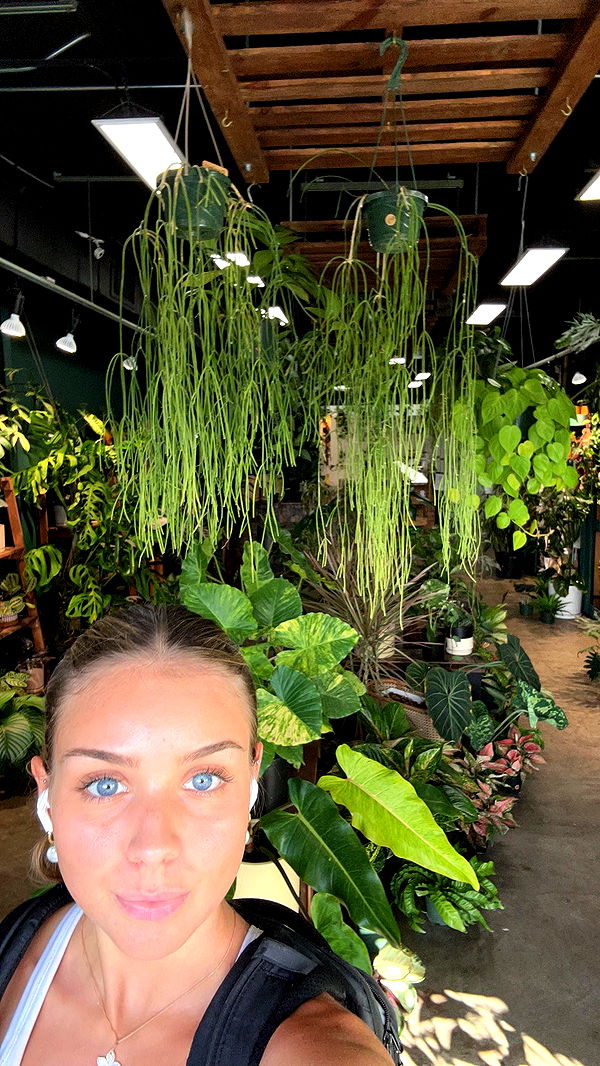 soph4ocean image ~ Altpins