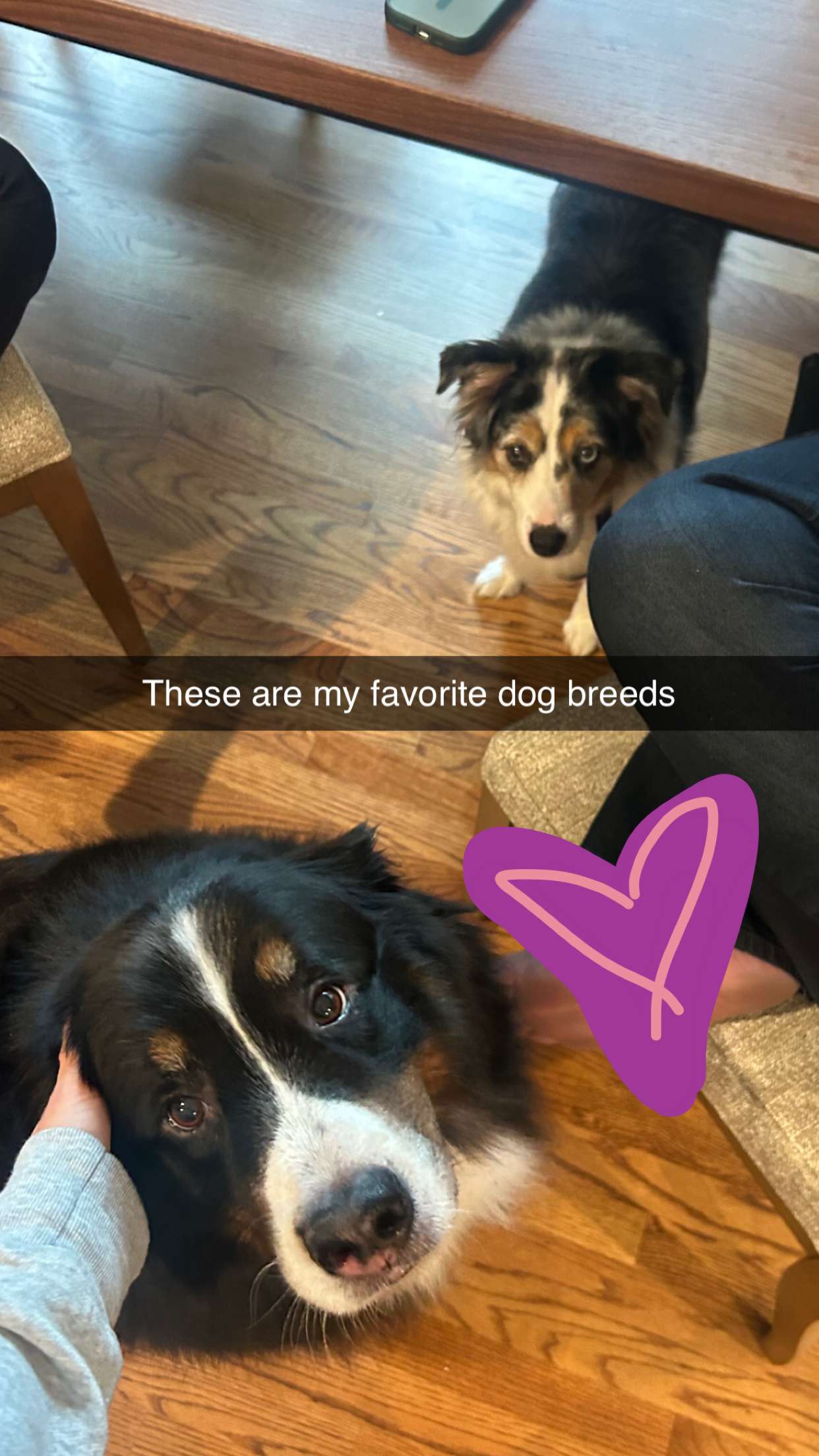 soph4ocean snapchat image archive image