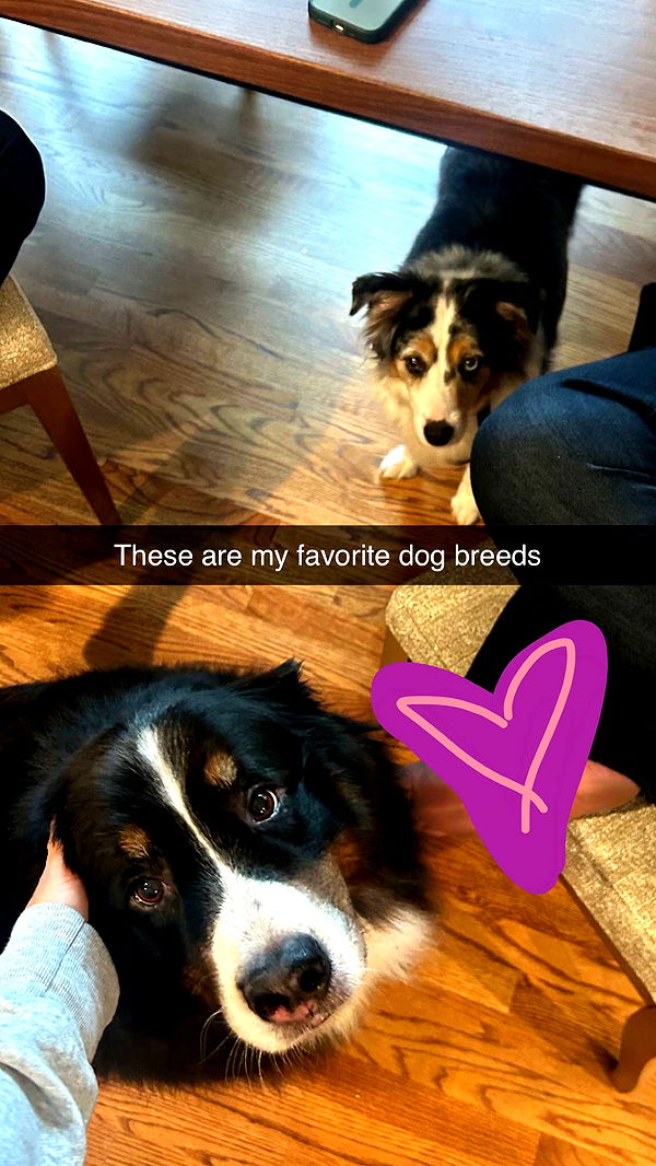 soph4ocean image ~ Altpins