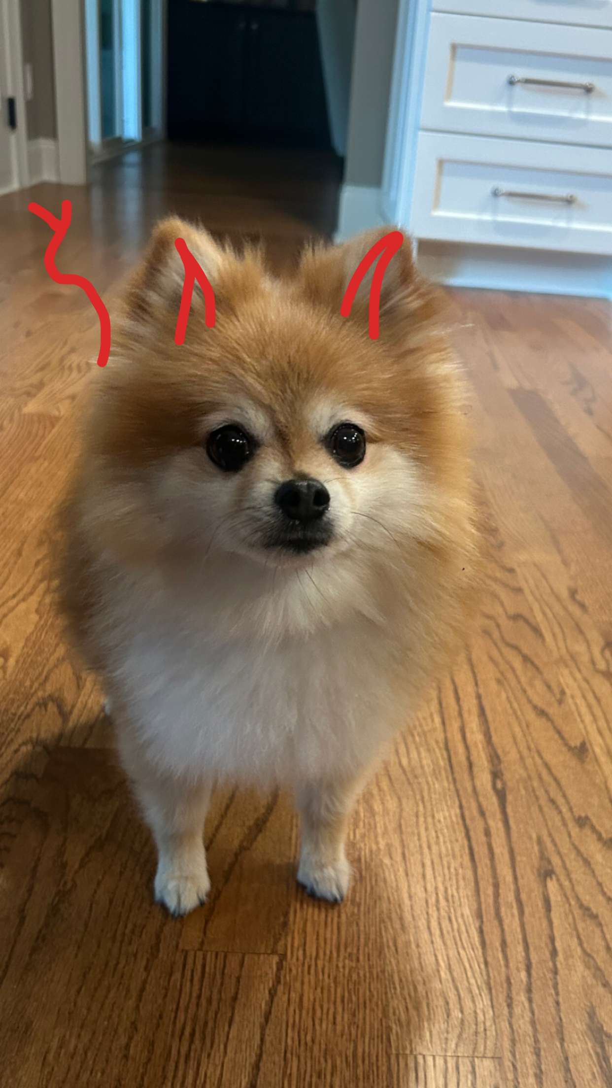 soph4ocean snapchat image archive image