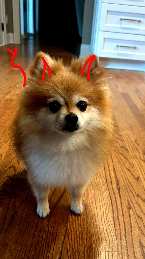 soph4ocean image ~ Altpins