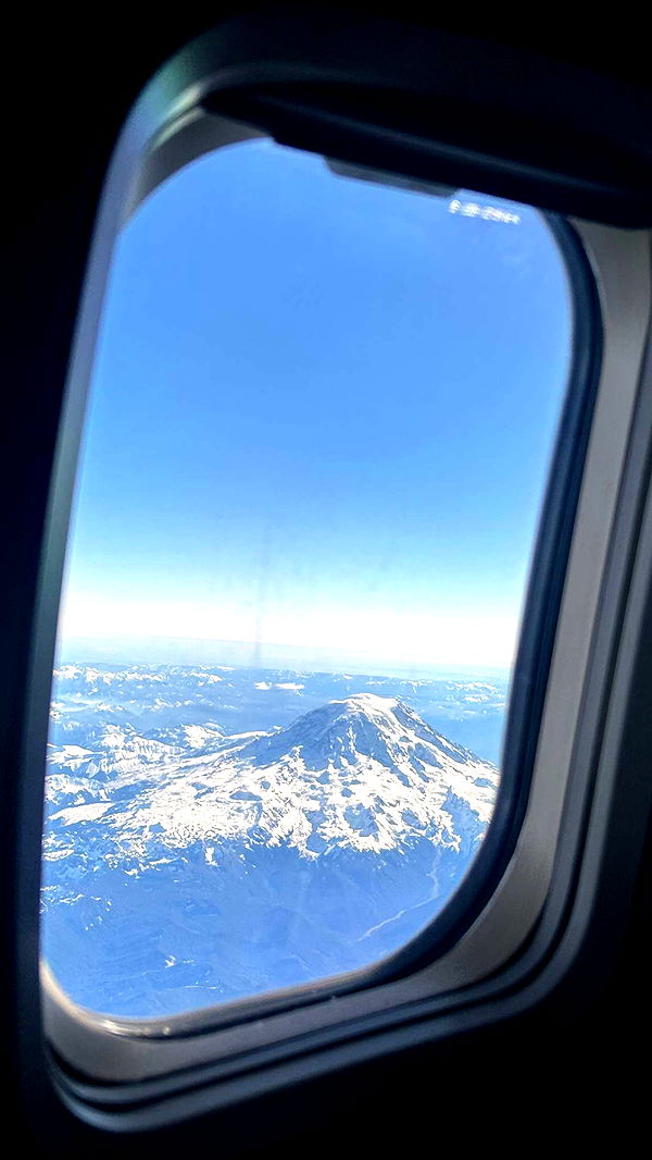 soph4ocean image ~ Altpins