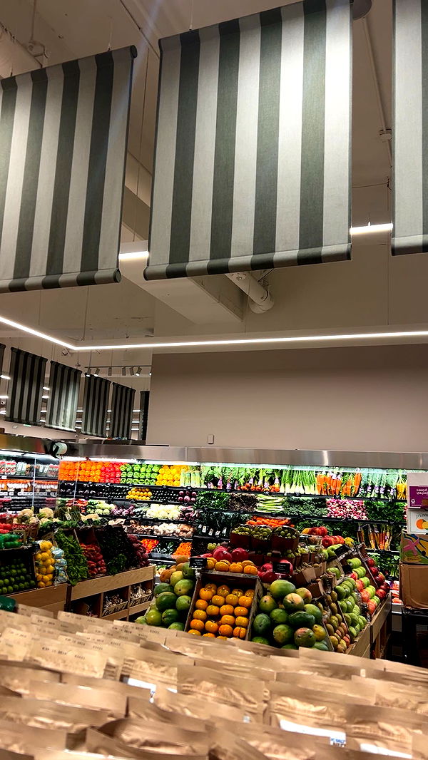 soph4ocean image ~ Altpins