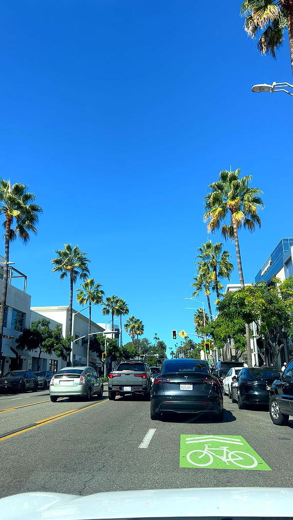 soph4ocean image ~ Altpins