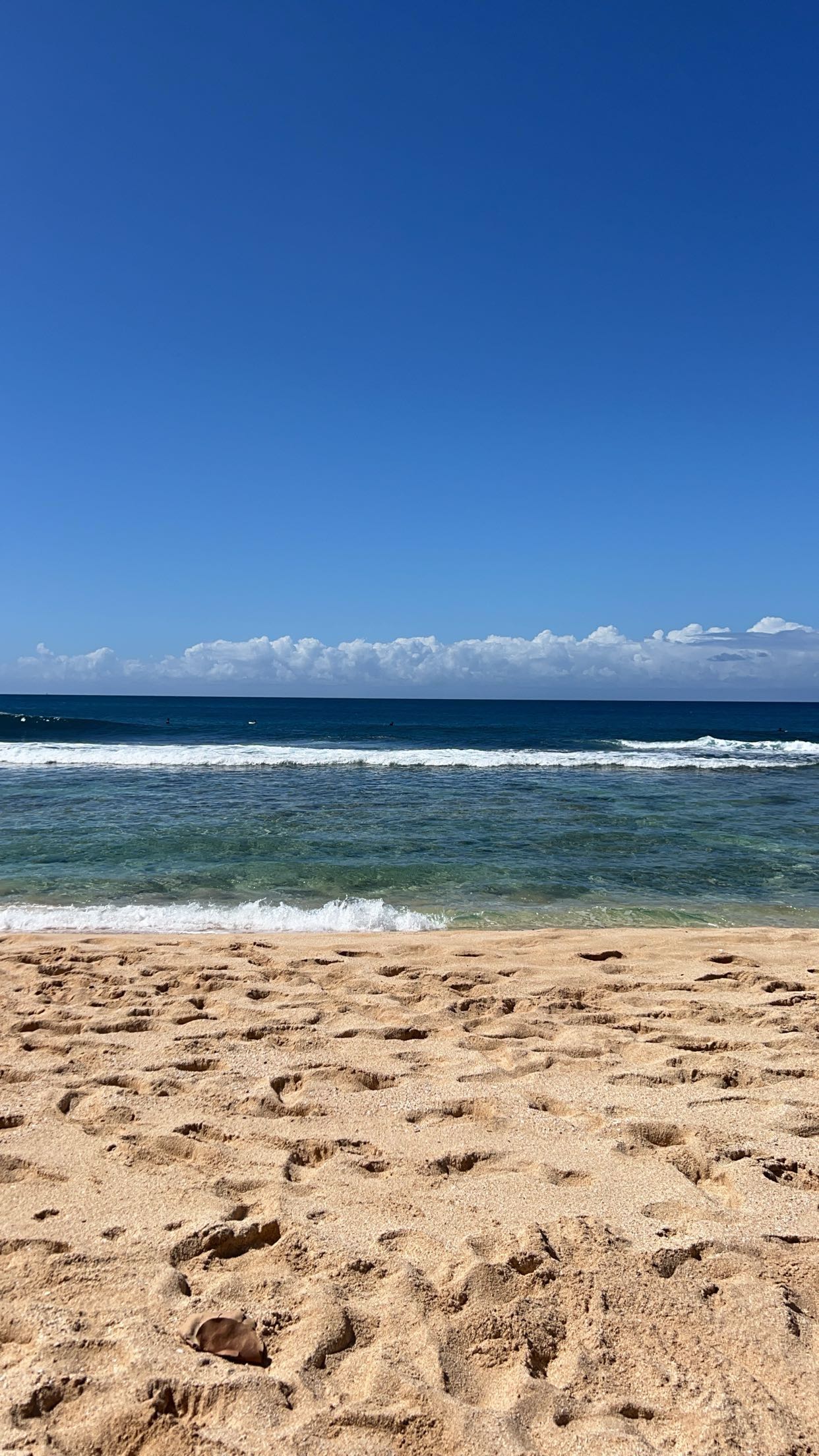 soph4ocean snapchat image archive image