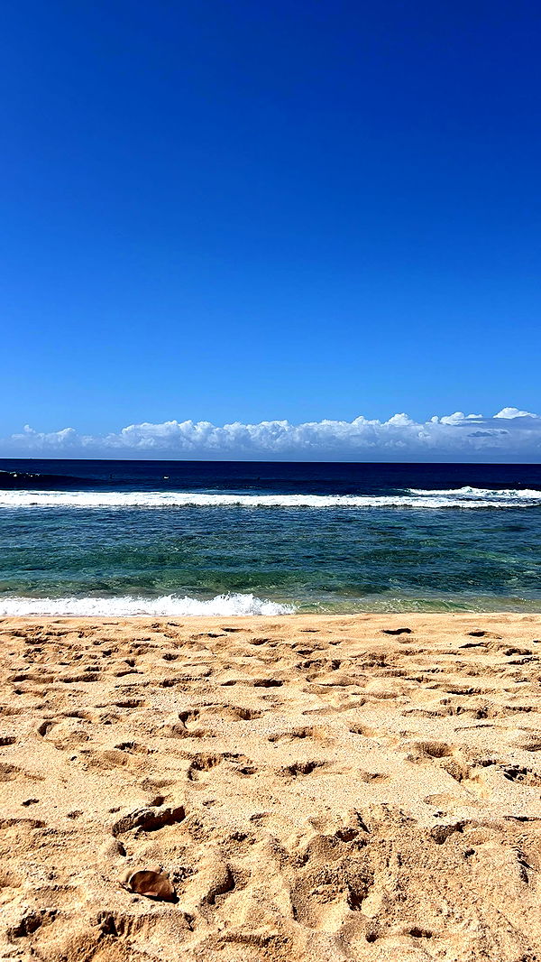 soph4ocean image ~ Altpins