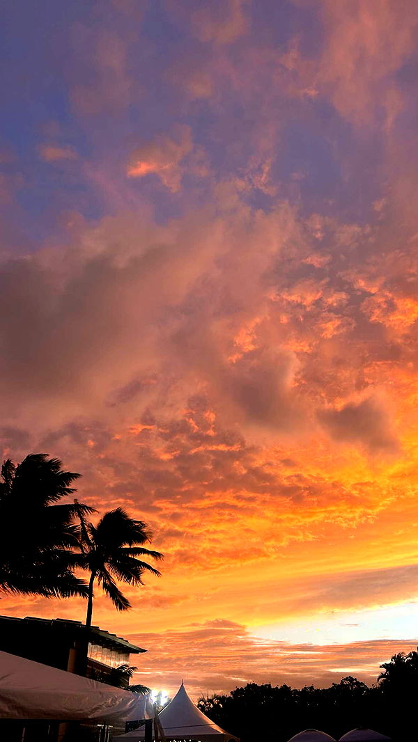 soph4ocean image ~ Altpins